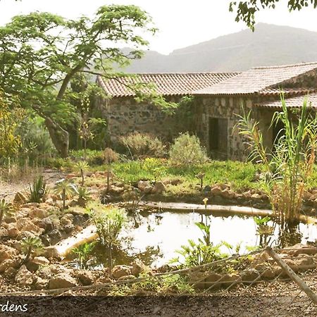 Live Finca San Miguel San Miguel de Abona Exterior foto